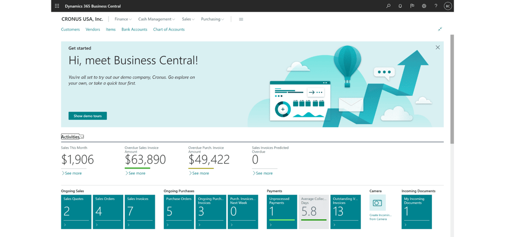 Dynamics 365 Business central interface
