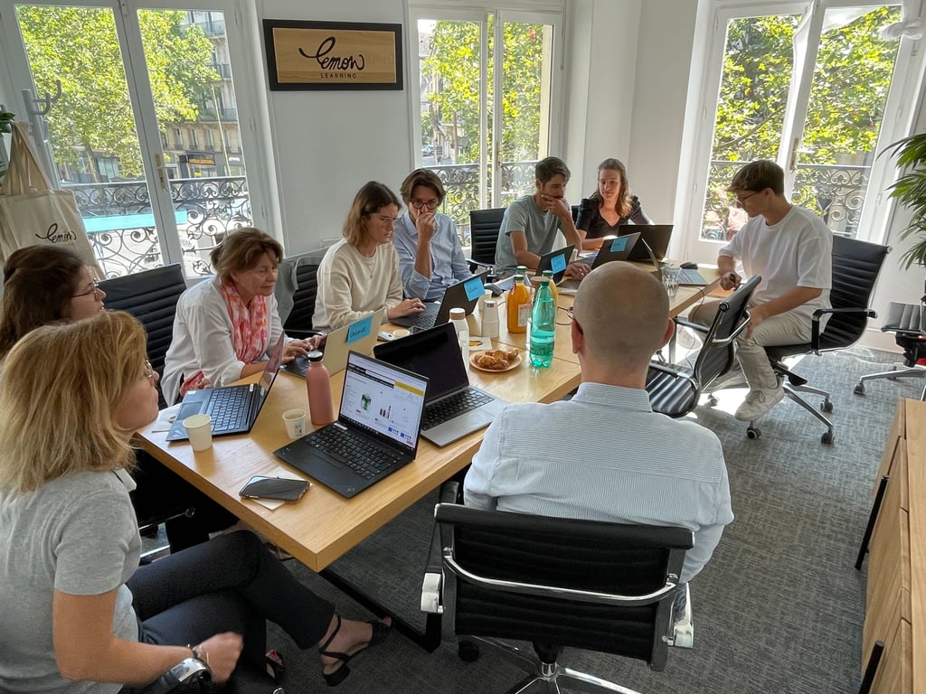 formation acemis lemon learning