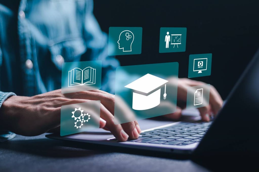 Les formations e-learning sont populaires ces dernières années grâce à l'essor d'Internet et du digital. Aujourd'hui, plusieurs entreprises privilégient les cours en ligne.