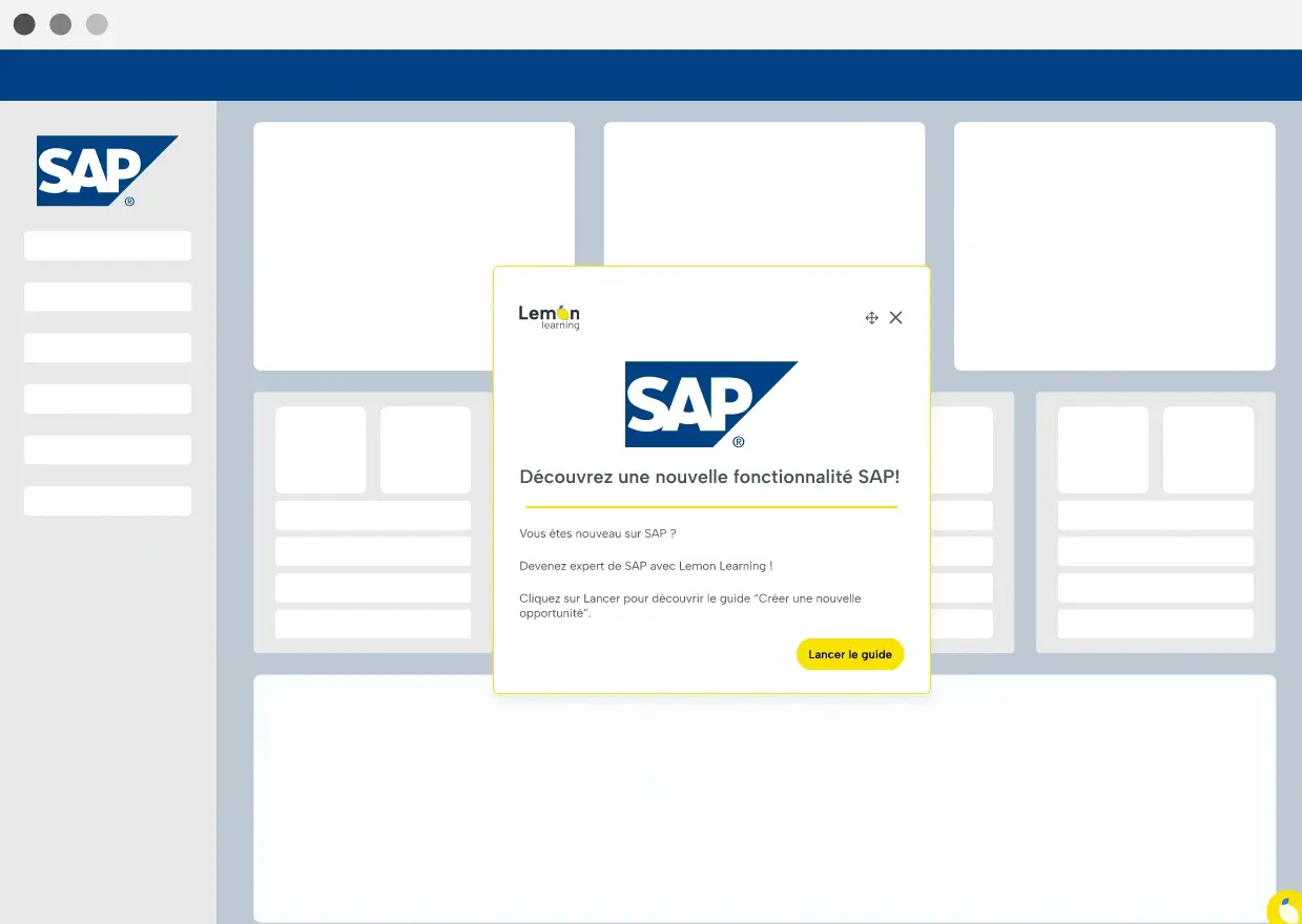gif_sap_push_fr