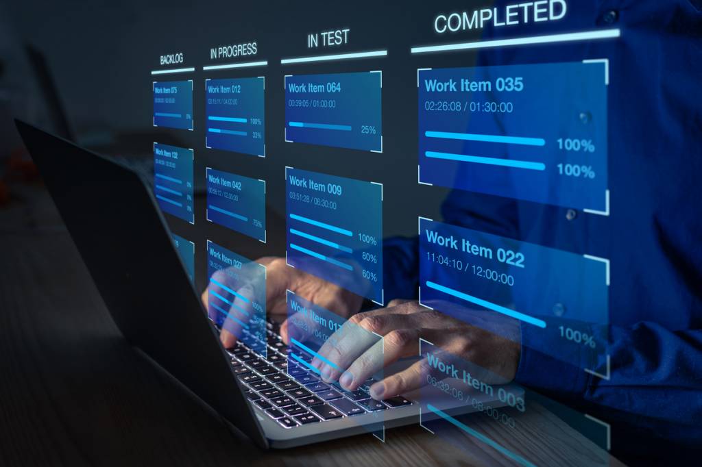 IT project management