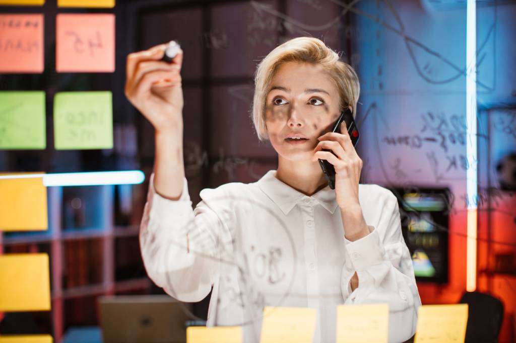 IT project management
