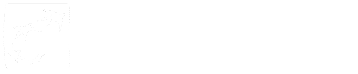 logo_bnp2_blanc