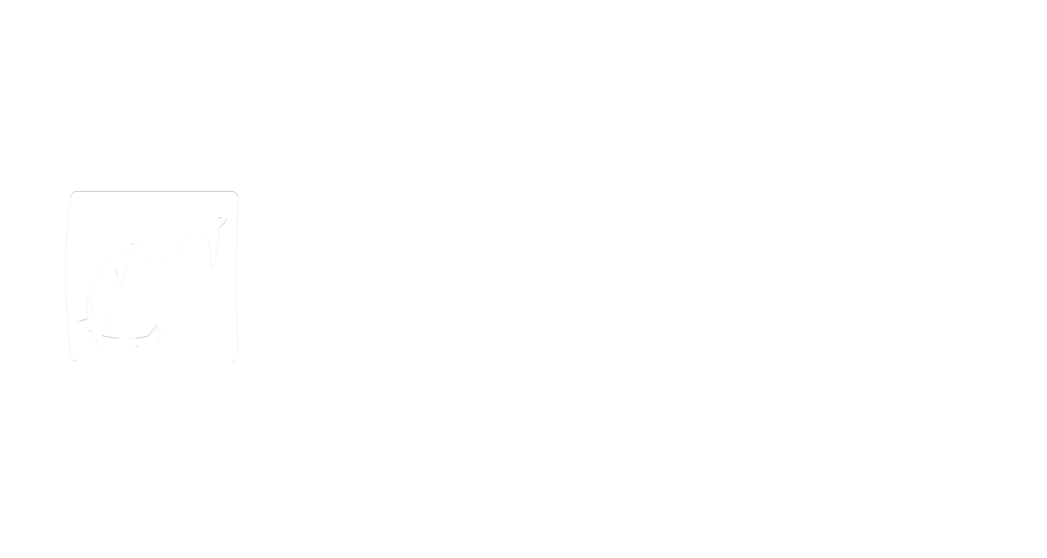 bnp-paribas-white-logo